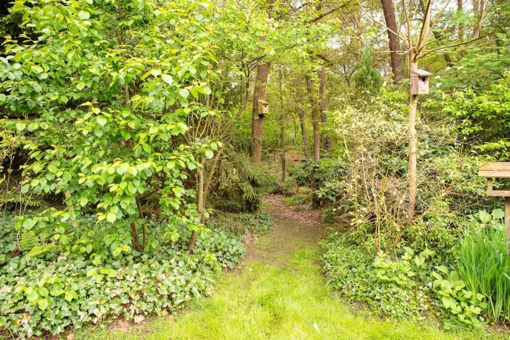 Heerlijk Vakantiehuisje Op Rustig Natuurpark Otterlo Buitenkant foto